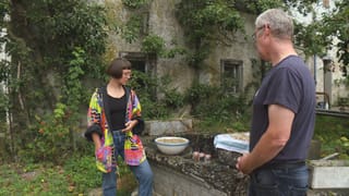 Vom Feld Auf Den Teller Rebecca Clopath Im Linsenfieber Gesichter