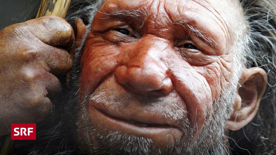 ersten Künstler Warum der Neandertaler alles andere als ein
