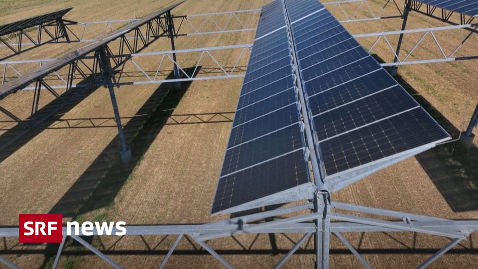 Agrophotovoltaik Solaranlagen Auf Ackerland Der Bund Bremst News Srf