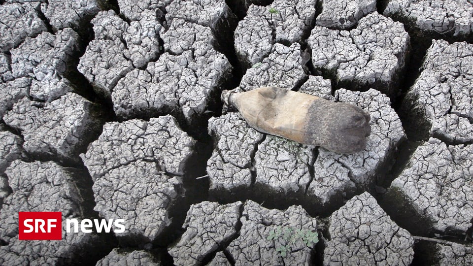 International Bis 2050 Fast Jeder Zweite Von Wasserknappheit