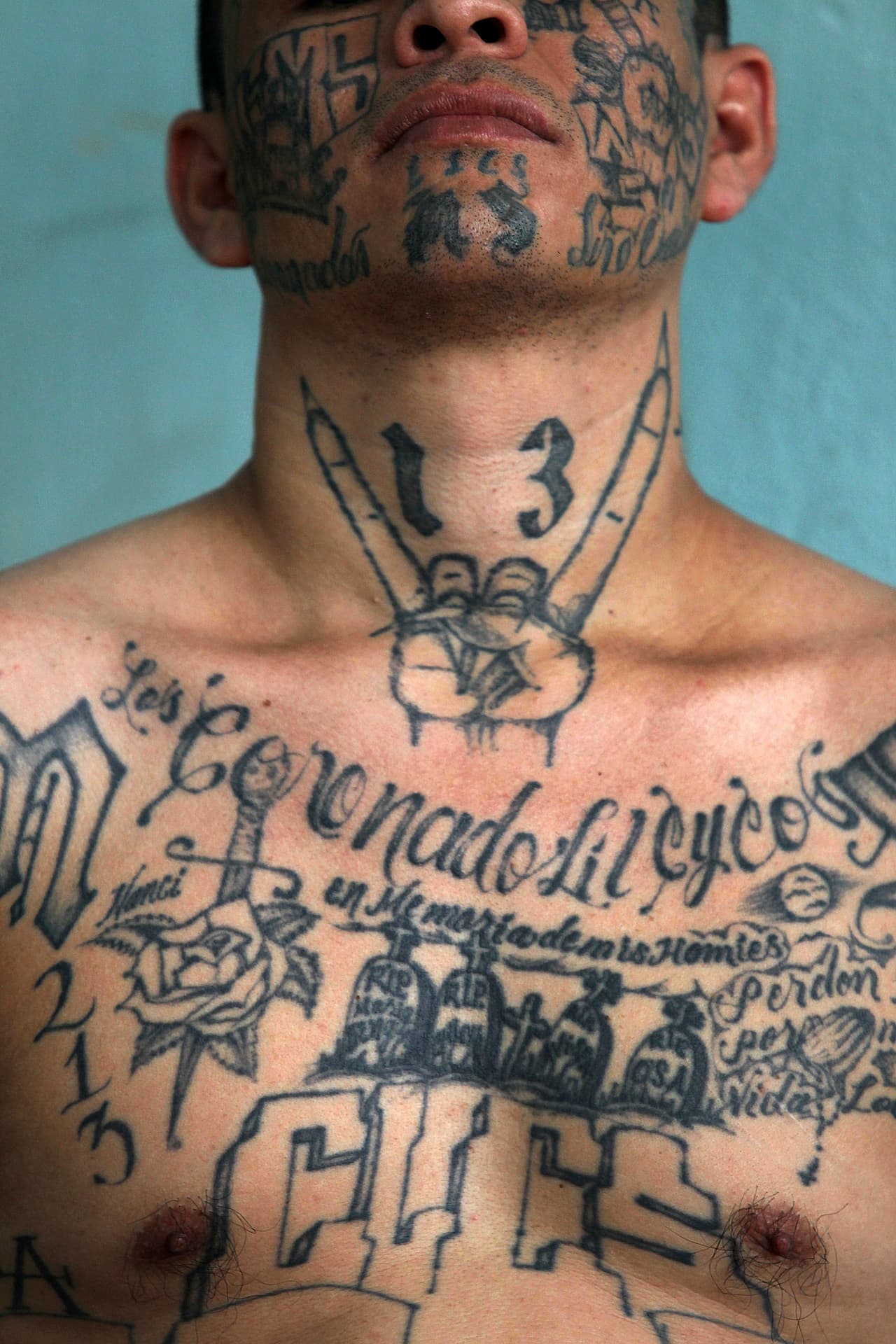 Kulturgeschichte des Tattoos Stigma, Orden, Brandmal, Zierde das