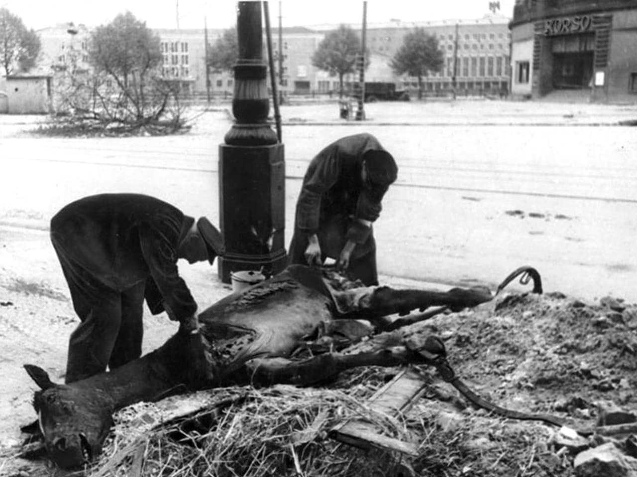 Der Krieg ist aus! - Deutschland musste untergehen, um neu ...