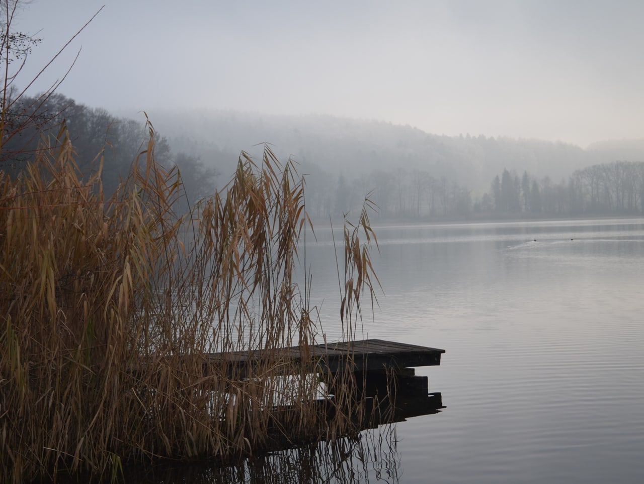 Fotoaktion im November Grau in Grau ist schön Das sind