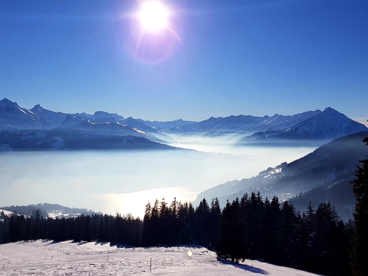 Bergwetter - Herrliches Winterwetter Auf Den Bergen - Meteo - SRF