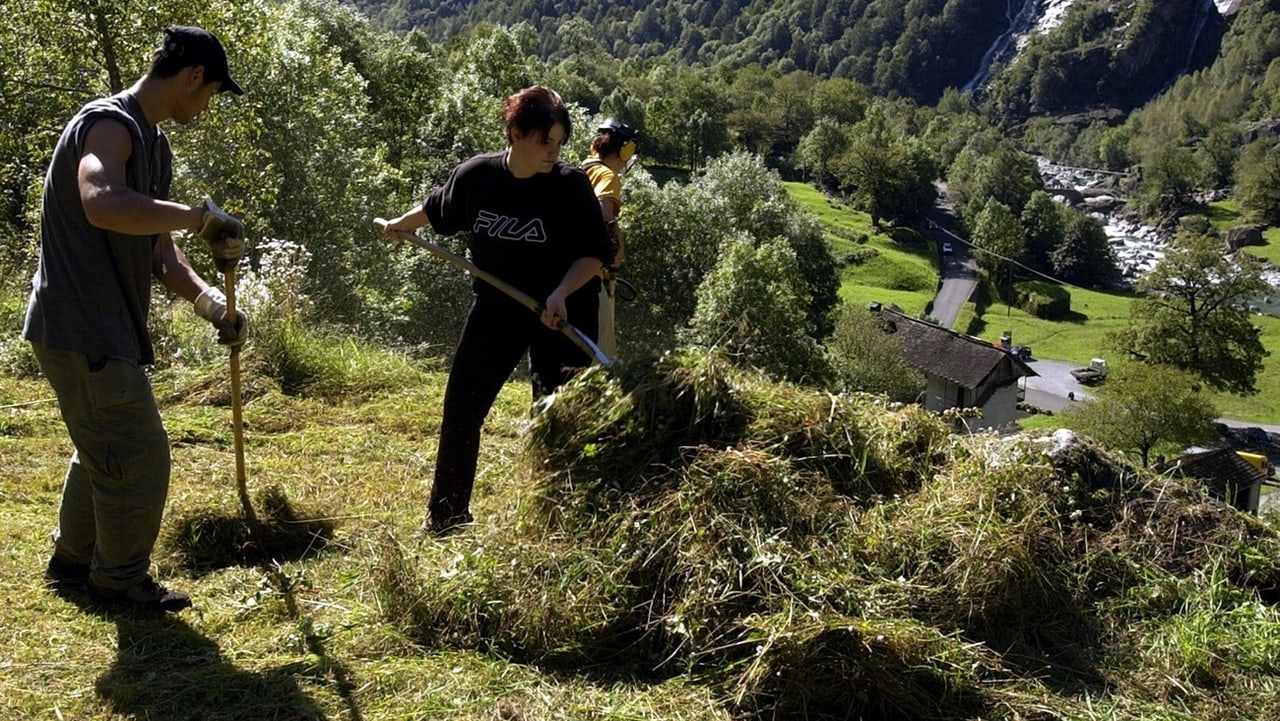 Schweiz - Mehrere Millionen Arbeiten In Der Schweiz Umsonst – Jeden Tag ...