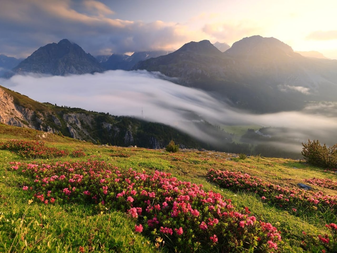 Windzirkulation in den Alpen - Wie entstehen Berg- und Talwind? - Meteo ...