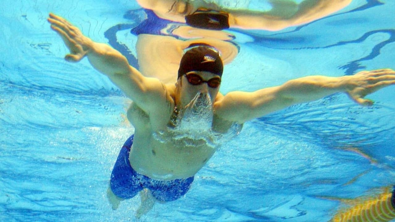 Schwimmen Brustschwimmen Und Crawlen So Gehts Richtig Wissen Srf 