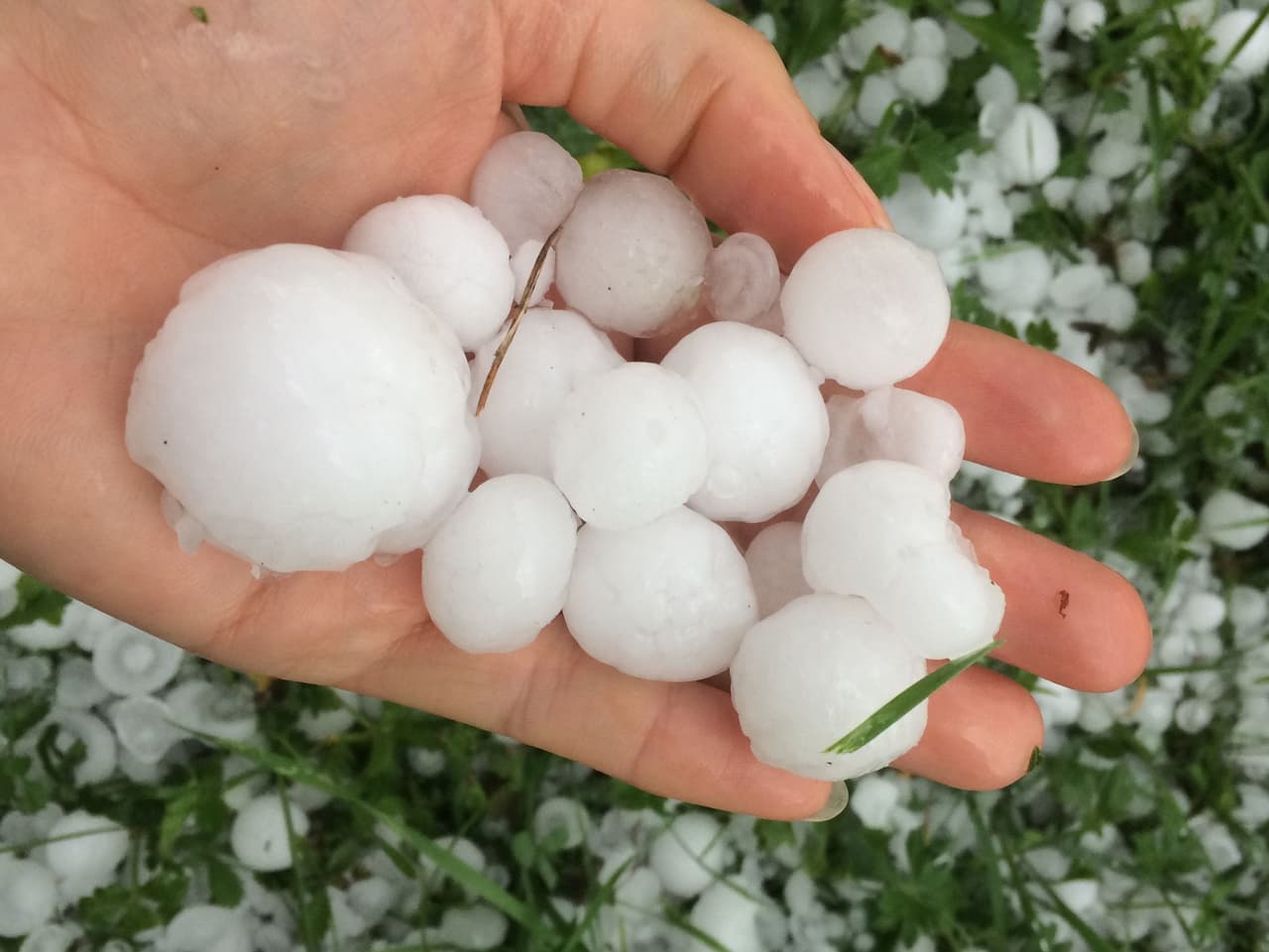 Radar - Hagel und seine Auswirkungen - Meteo - SRF