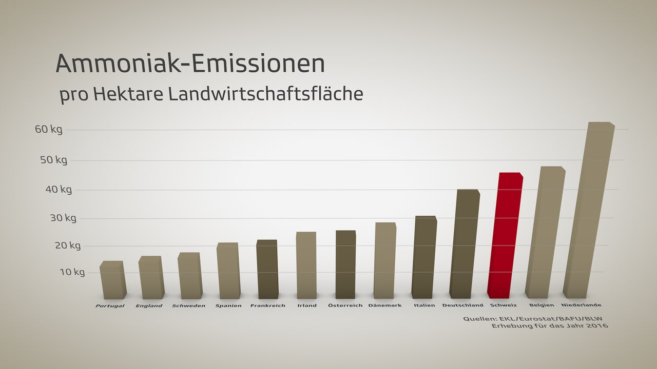 Agrarpolitik 22+ - Zu Viel Ammoniak Kostet Millionen – Ein Ende Ist ...