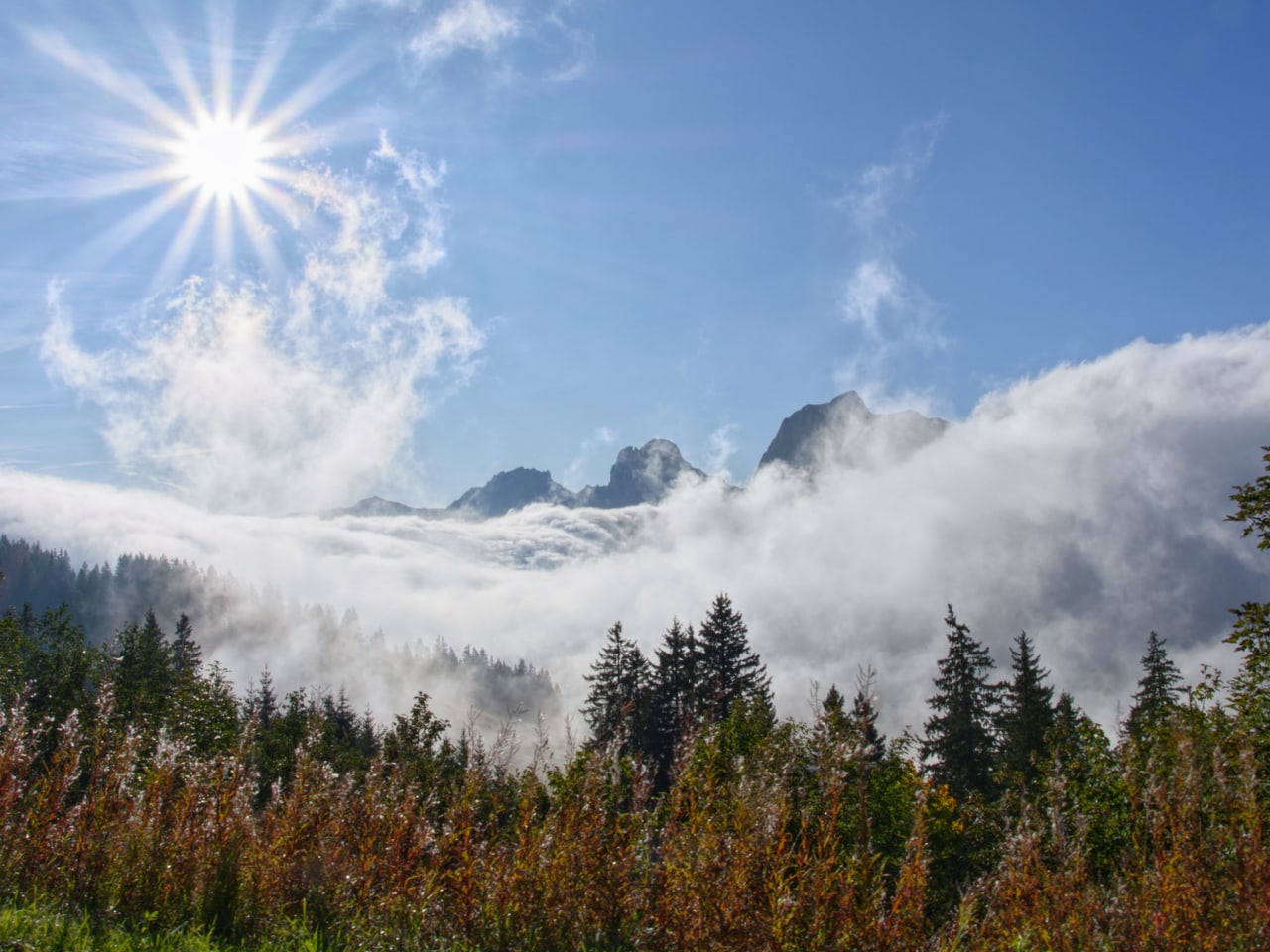 Hochnebel - Weitblick über Dem Hochnebel - Meteo - SRF