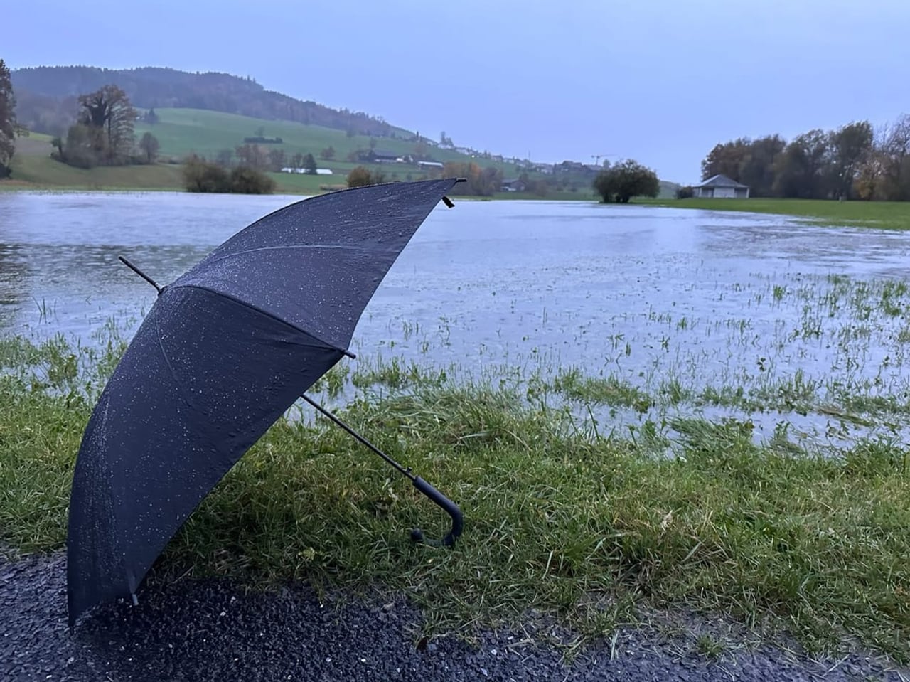 Wind Und Regen - Nasse Und Windige Wetterphase Beruhigt Sich - Meteo - SRF