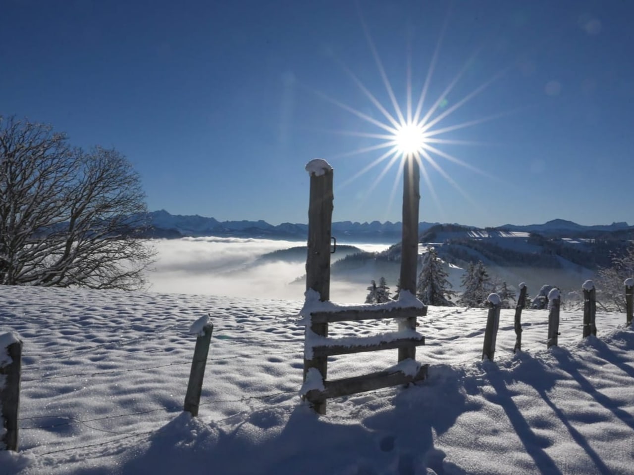 Nebel Oder Sonnenschein - Die Besten Bilder Des Wochenendes - Meteo - SRF