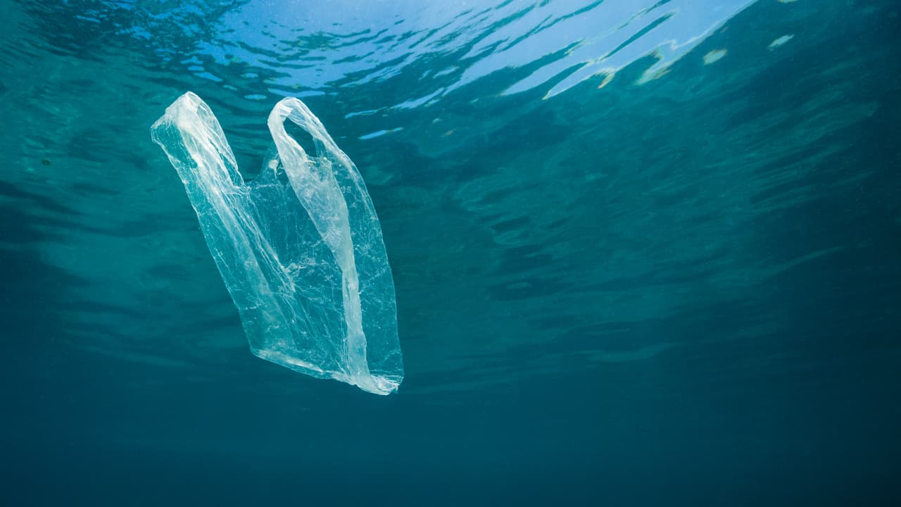 Plastikmüll In Der Arktis Die Fischer Dachten Was Sie Ins Meer Werfen Ist Weg Kultur Srf 5990