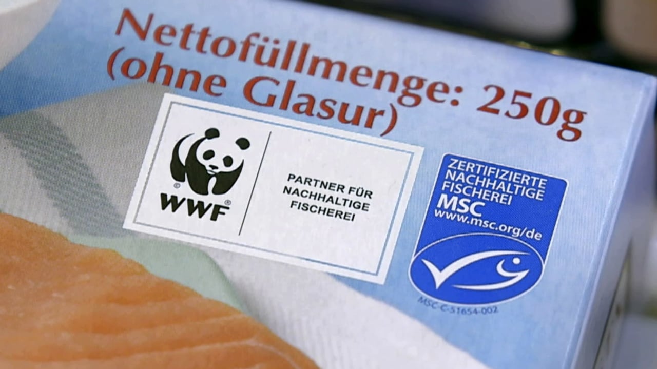 Nachhaltige Fischerei - Das Geschäft mit dem Fischsiegel MSC - Dok - SRF