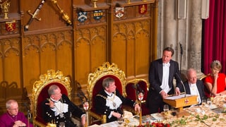 Premier David Cameron bekräftigt am jährlichen Lord Mayor's banquet den Kampf gegen Terrorismus.