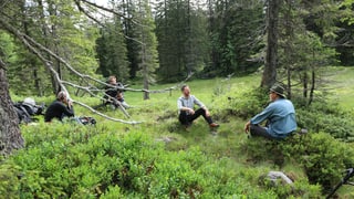 Spirituelle Wege Auf Den Spuren Der Kelten Im Bernbiet - 