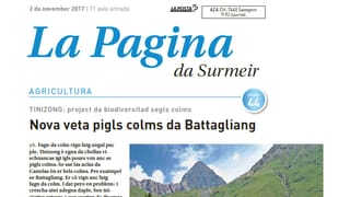 La pli nova ediziun da la Pagina da Surmeir.