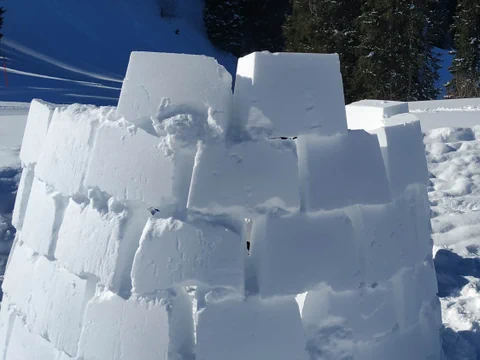 Schneeblöcke werden zu einem Iglu gebaut.