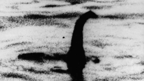 Undatierte Aufnahme von Nessie. 