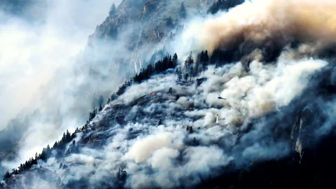 Hubschrauber löscht Waldbrand