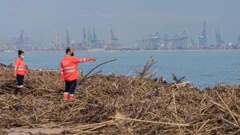 Zwei Arbeiter in Warnwesten begutachten Treibholz am Strand mit Kranen im Hintergrund.