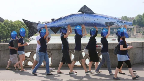 Menschen von WWF transportieren einen riesigen künstlichen Fisch über eine Brücke in Basel.