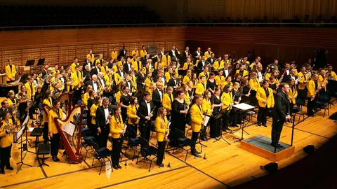 Ein grosses Orchester auf einer Bühne.