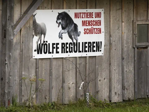 Plakat auf dem steht: «Wölfe regulieren»