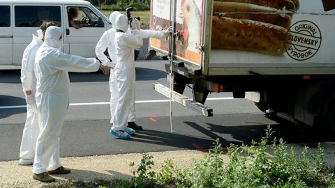 Lastwagen in Österreich beherbergt 71 tote Menschen.