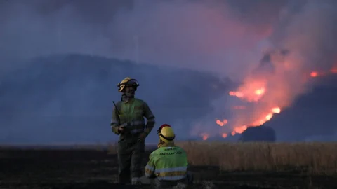 Zwei Feuerwehrmänner vor einem Waldbrand