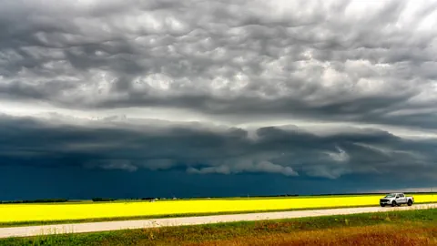 Gewitterwolke über gelbem Rapsfeld, davor eine Strasse.