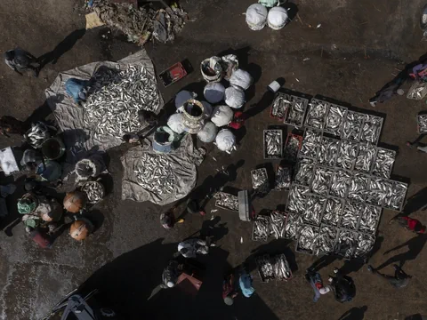 Fischmarkt in Senegal.