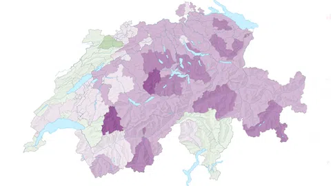 Schweizerkarte mit Bezirksgrenzen.