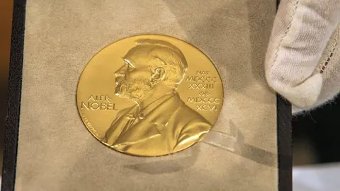 Auf dem Bild ist die Nobelpreis-Medaille zu sehen.