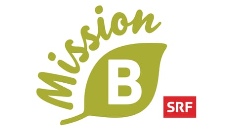 Mission B