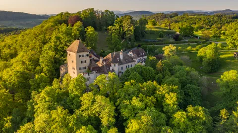 Schloss von oben, umgeben von Wald.