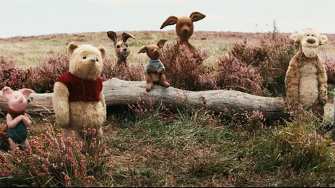 Plüschtiere stehen in der Natur. Von links nach rechts: ein Ferkel, ein Bär, ein Hase, ein kleines und ein grosses Känguru, ein Tiger.