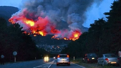 Waldbrand bei Leuk wird von einer Strasse aus fotografiert.