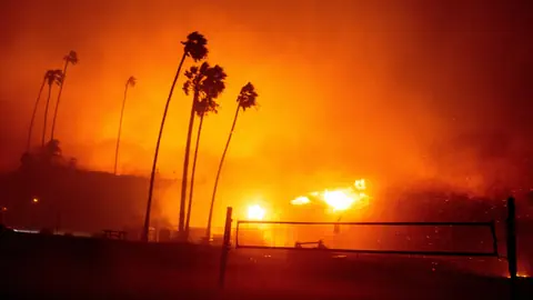 Feuer mit Palmen im Vordergrund bei Nacht.