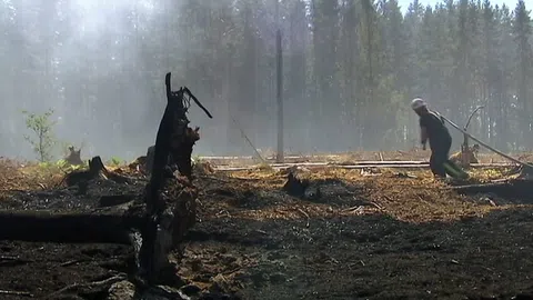 Feuerwehrmann zieht Schlauch in einem Wald mit rauch und abgebrannten Baumstrunk.