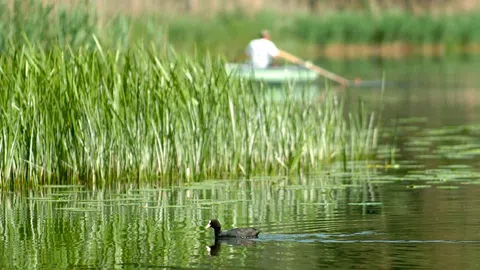 Bilder vom Moossee