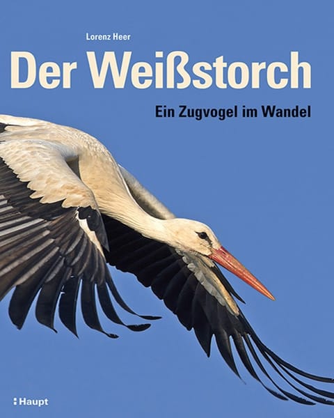 Auf dem Bild ist das Buchcover zu sehen.