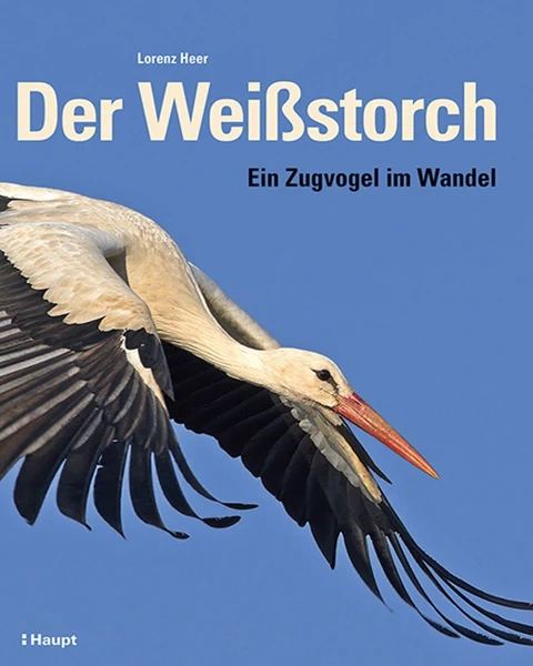 Auf dem Bild ist das Buchcover zu sehen.