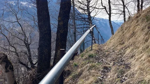 Die Bewässerungsleitung durchquert den Schutzwald.