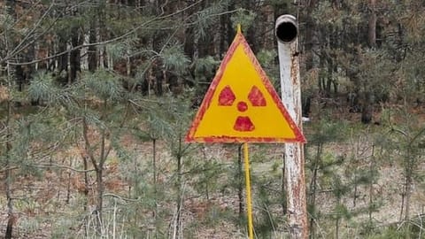 Eine Warntafel für Radioaktivität im Wald von Tschernobyl.