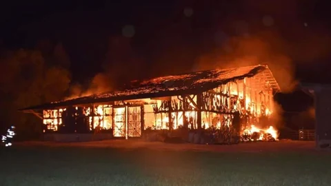 Ein Feuer zerstört eine Futter- und Lagerhalle.