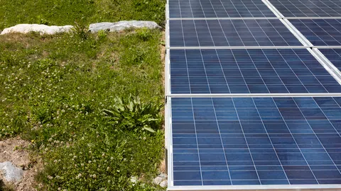 Solarpanel auf einer grünen Wiese.