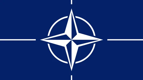 Das Logo der Nato mit der Kompassnadel