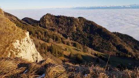 Herbstlicher Wald auf Bergflanke über Wolkenmeer im Abendlicht