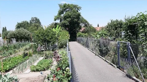 Weg durch Familiengarten-Areal